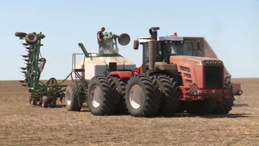 Средняя урожайность выросла до 17 центнеров с гектара