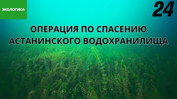 Астана останется без питьевой воды? | Экологика