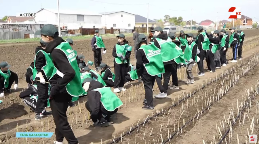 Ақтөбе экологиясы. Қала жастары тазалық акцияларына қаншалықты белсенді қатысады?