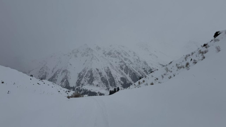 МЧС предупредило о лавинной опасности в горах