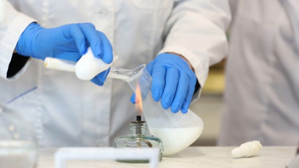 Целебный напиток из верблюжьего молока и свекольного сока будут производить в Мангистауской области