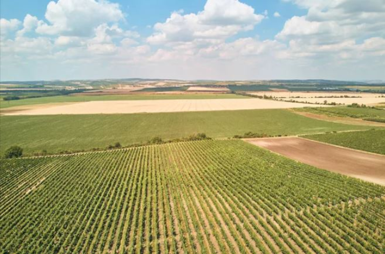 42 тыс. га неиспользуемых земель возвращены государству в области Абай