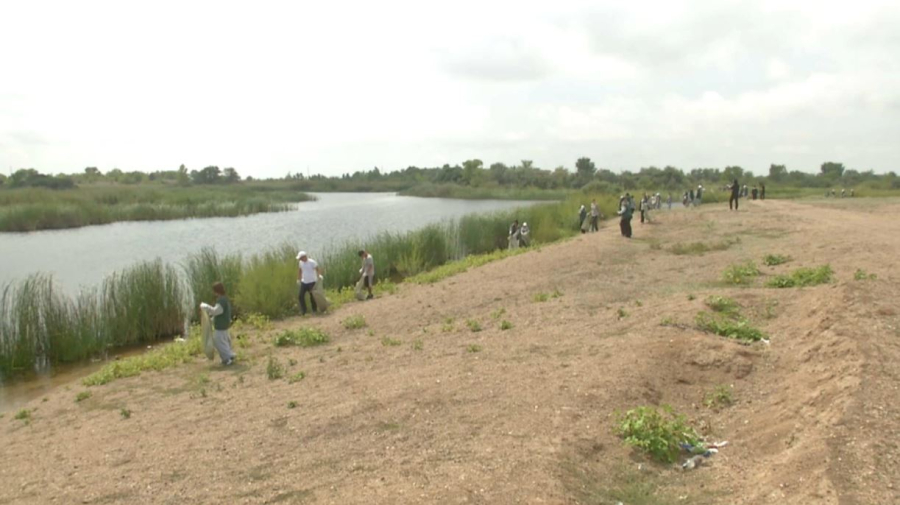 Волонтёры очистили берег реки от мусора