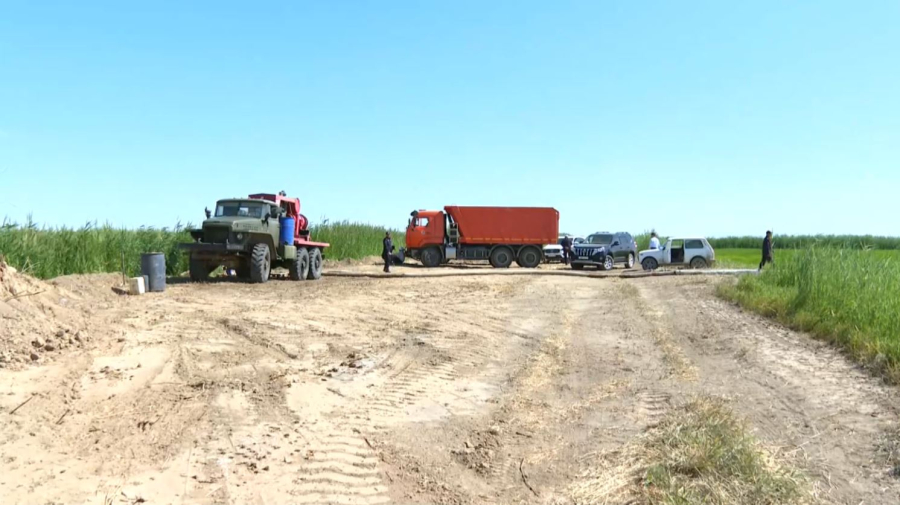 МЧС спасает сельскохозяйственные посевы в Кызылординской области