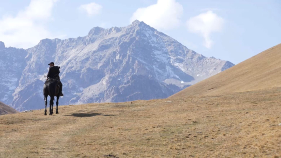 Отандық туризм: экологиялық және медициналық бағыттар дамып келеді