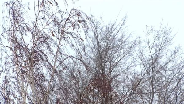 Снег, заморозки, грозы: штормовое предупреждение объявлено в 17 регионах РК