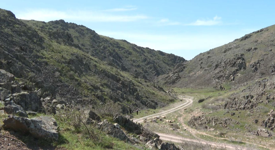 Жамбыл облысында петроглифтерді зерттеу жұмыстары басталды