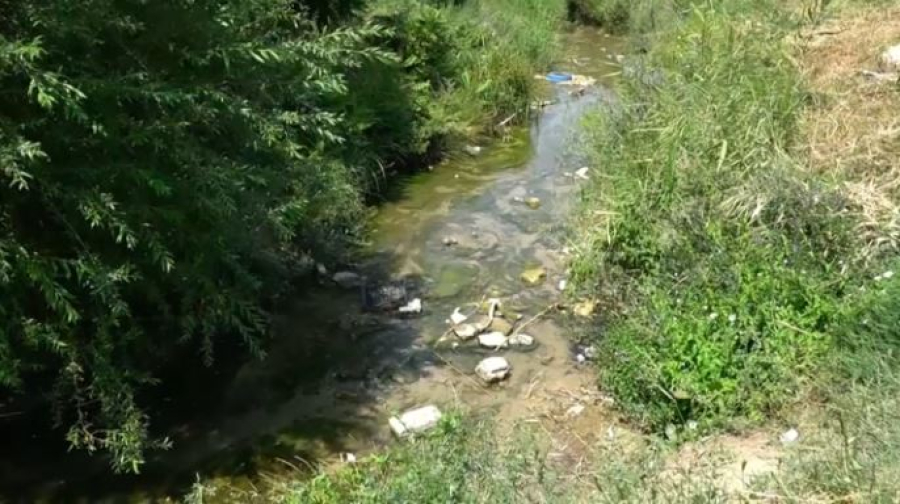 Тараз перенимает опыт Астаны в благоустройстве и озеленении