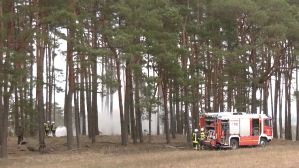 Дрон для обнаружения лесных пожаров разработали в Германии