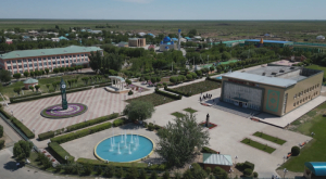 Образцовый населённый пункт выбирали в Кызылординской области