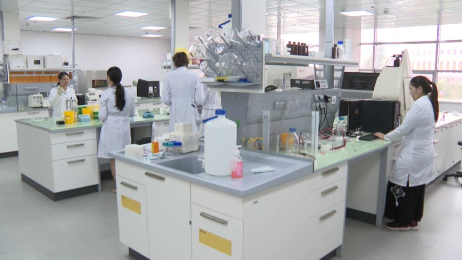 Елде сутегі жобалары дамып жатыр