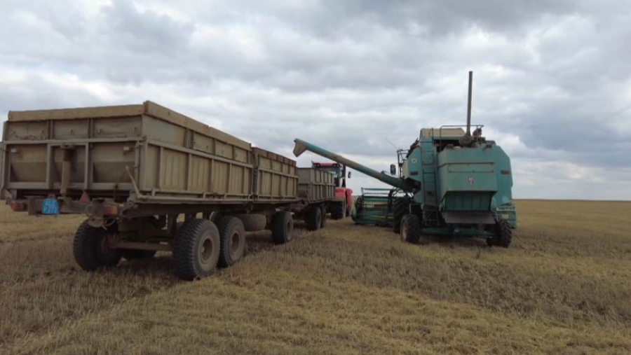 Уборочная кампания стартовала в Костанайской области