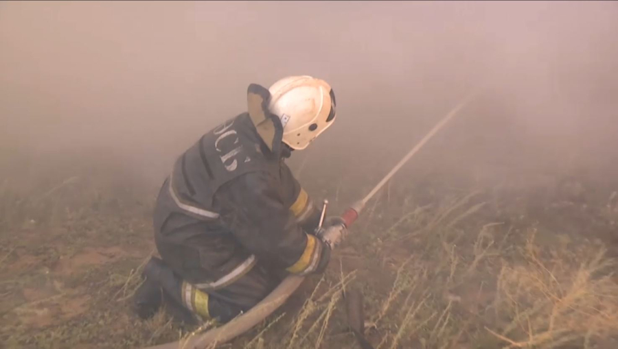 Биыл 600-ге жуық орман өрті тікрелді