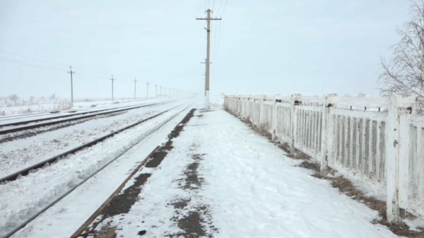 В Павлодарской области участились случаи экстренного торможения поездов