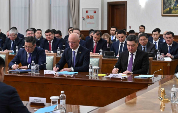 Мемлекет басшысы өнеркәсіп министрлігін сынға алды