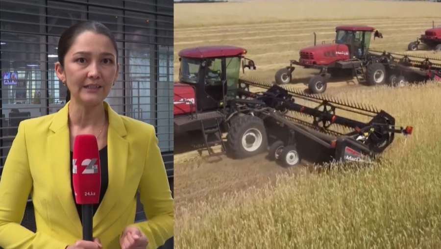 Әлем нарығында бидай бағасы құбылып тұр