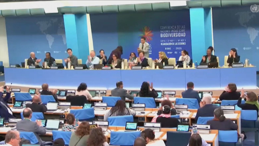 СОР16: қатысушы елдер табиғатты қорғауға $200 млрд бөледі