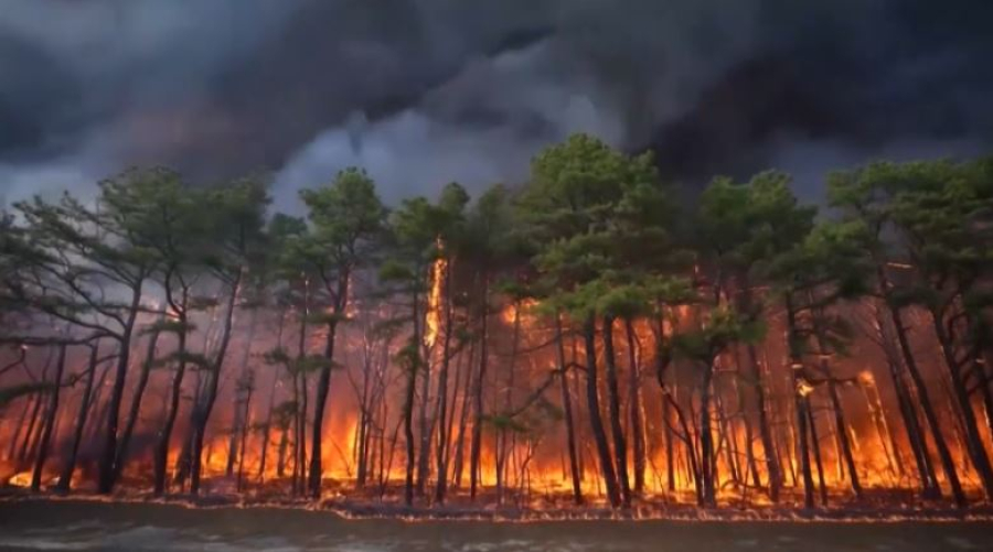 Грекияда орман өртеніп жатыр