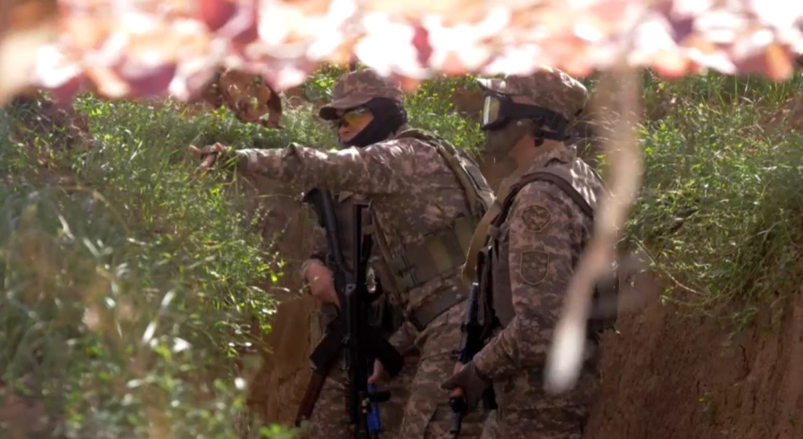 Формирования самообороны будут создавать в Казахстане