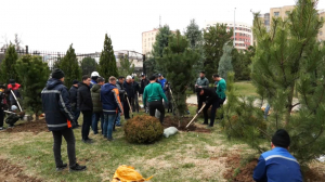 Өзбекстандағы Қазақстан елшілігінде экоакция ұйымдастырылды