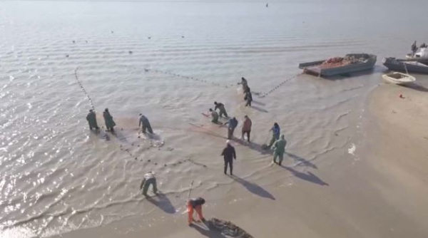 Объёмы вылова рыбы сокращаются в Атырау