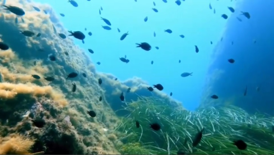 60 стран ратифицировали договор о защите международных вод