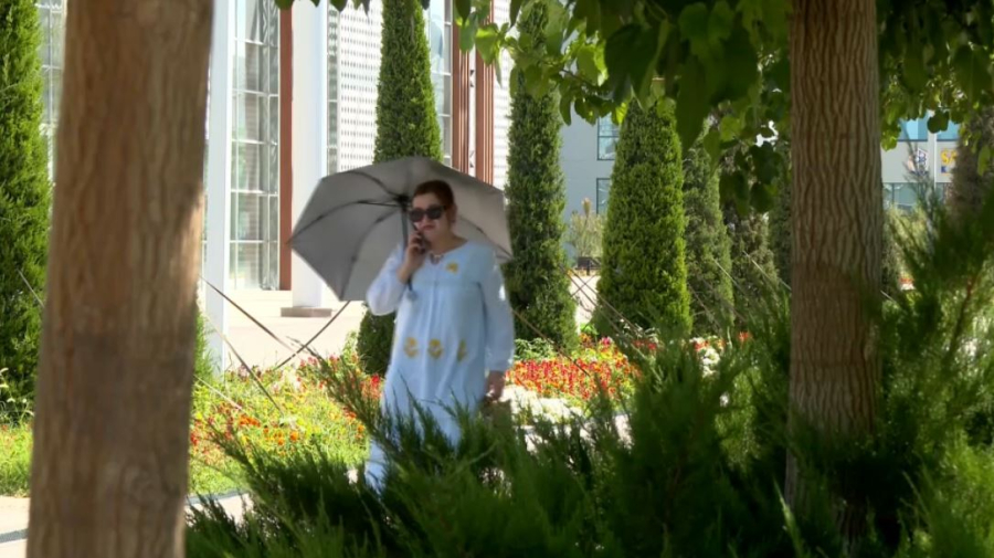 Аномальная жара в регионе. LIVE