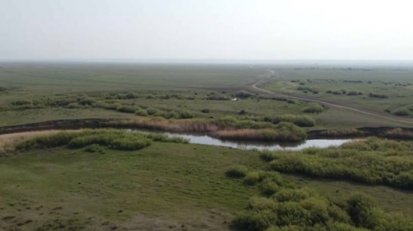 Свыше 350 тыс. га земли вернули в госсобственность в Костанайской области