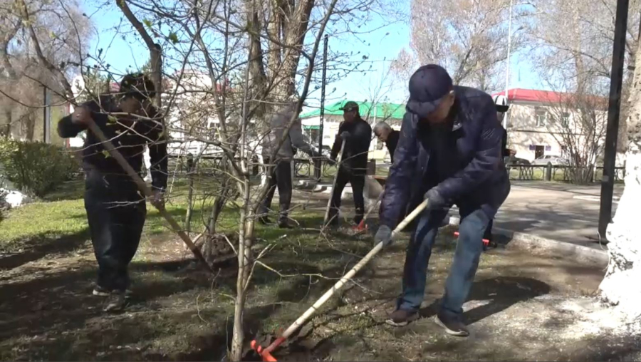 Ардагерлер Оралдың тазалығына үлес қосты