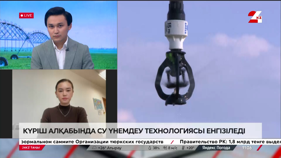 Күріш алқабында су үнемдеу технологиясы қолданылады. Ақерке Молдабек