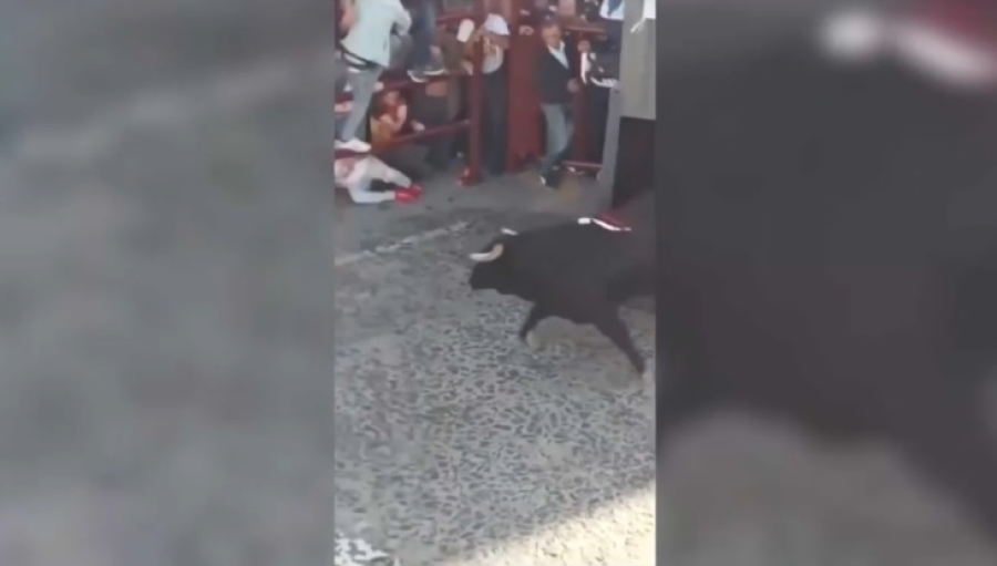 570-килограммовый бык протаранил толпу зрителей в Испании