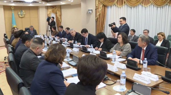 Сенатта жасөспірімдер арасындағы ерте жүктілік мәселесі көтерілді