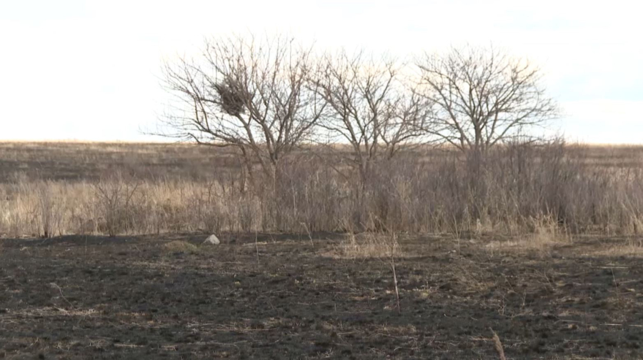 22 возгорания травостоя зафиксировали в Акмолинской области