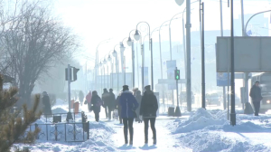 Школьники и студенты Акмолинской области перешли на «дистанционку» из-за сильных морозов