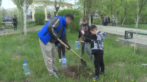 Экоактивисты и юные спортсмены высадили 100 тополей в Жезказгане