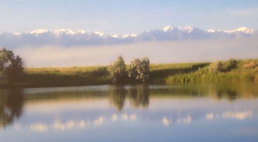 Фотолетопись Казахстана представили в Сеуле