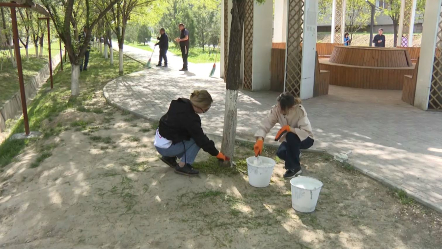 Таза бейсенбі: Шымкентте жүздеген адам тазалыққа атсалысты