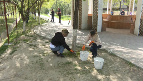 Таза бейсенбі: Шымкентте жүздеген адам тазалыққа атсалысты