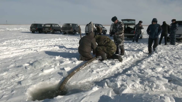 Ақмола облысында аэрация жұмыстары басталды