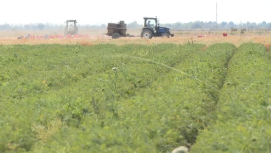 Атырауские земледельцы осваивают водосберегающие технологии