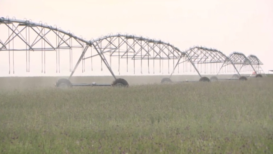 Сколько воды позволит сэкономить «цифра»