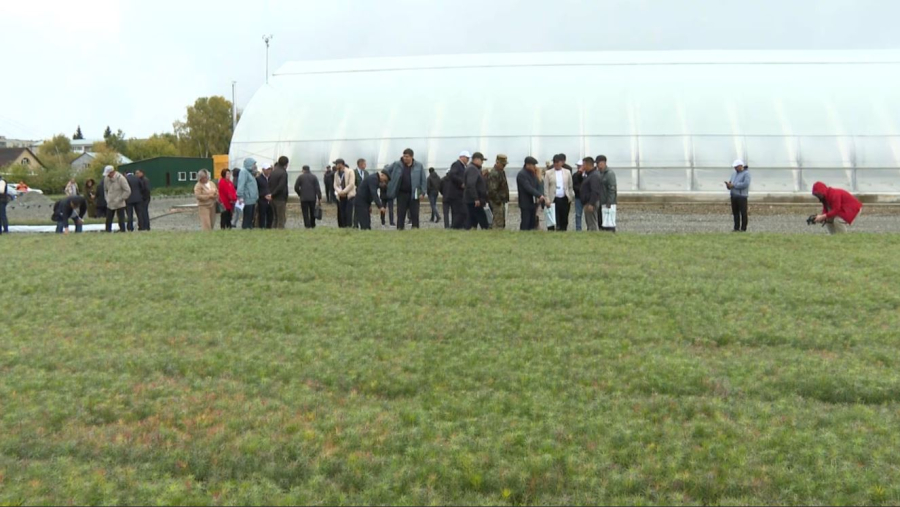 Ақмола облысында жаңа орман тұқымбағы ашылды