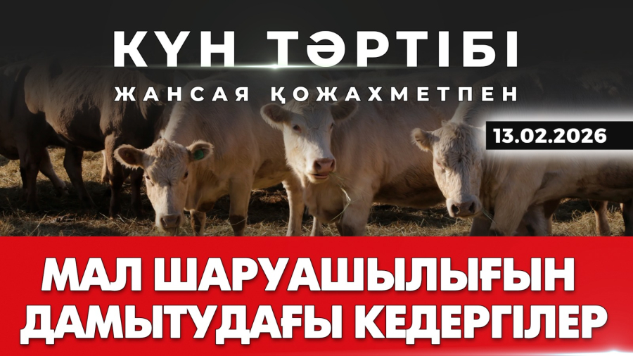 Мал шаруашылығын дамытудағы кедергілер | Күн тәртібі | 13.02.2026
