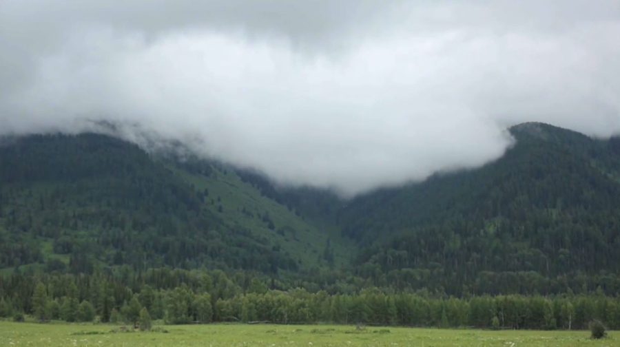 Ұлттық парктерге 2,8 млн адам барған