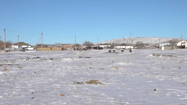 Қарағанды облысында 580 мың гектар жер мемлекетке қайтарылды