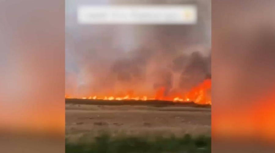 Cтепной пожар продолжают тушить в области Абай