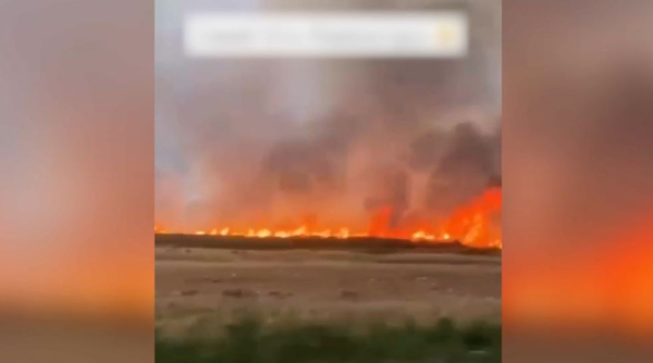 Cтепной пожар продолжают тушить в области Абай