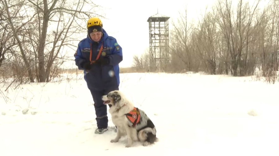 Единственная женщина-кинолог служит в спасательном отряде Павлодара
