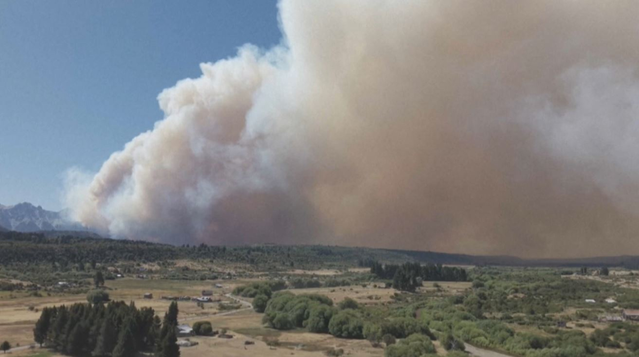 30 тысяч гектаров леса сгорели в Аргентине