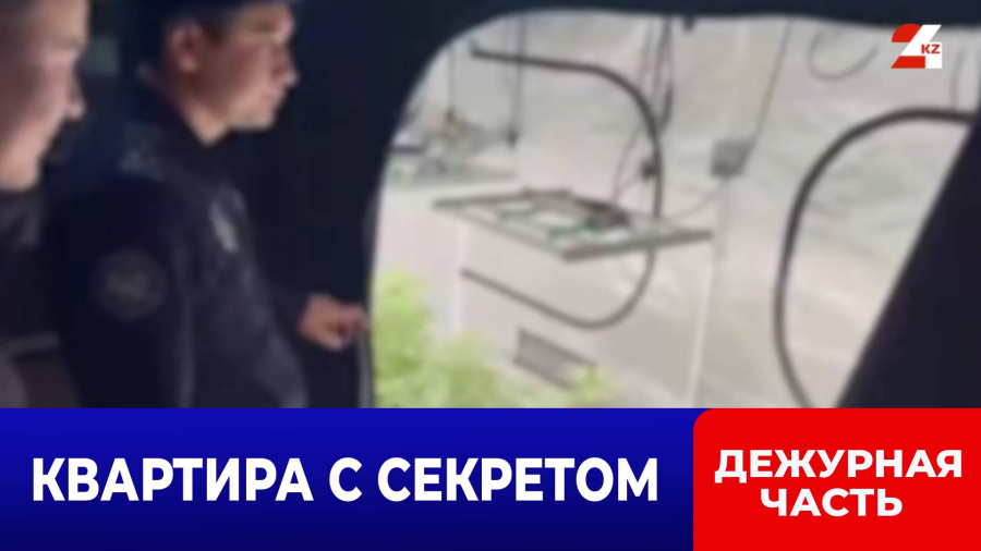 Сюрприз за дверью: в алматинской многоэтажке обнаружили плантацию конопли